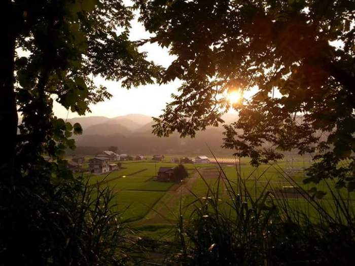 Yrittäjän arkea, pinkkejä vinkkejä epäonnistumisten sietämiseen -kuvituskuva